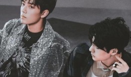 娱乐圈内人爆料博君一肖,娱乐圈内独家爆料，揭秘这对明星的神秘关系